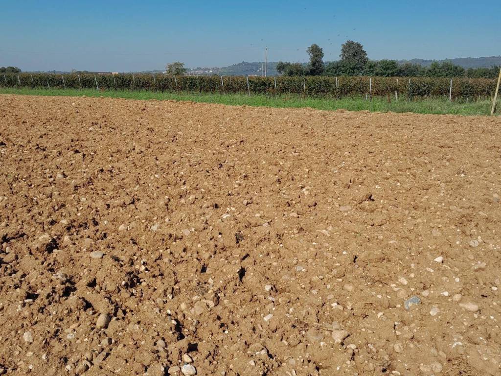 Terreno a Volta mantovana - Foto 3