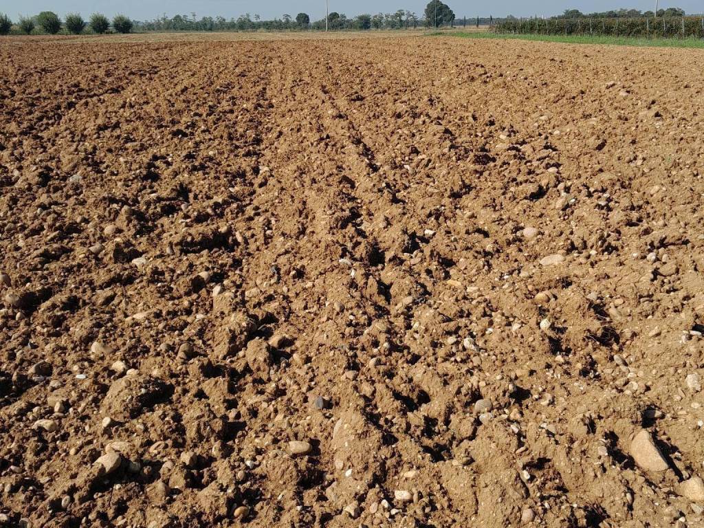 Terreno a Volta mantovana - Foto 4