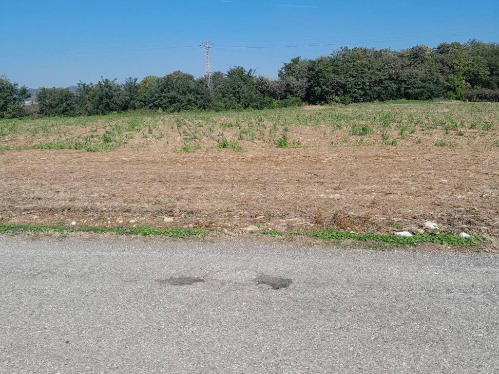 Terreno a Volta mantovana - Foto 5
