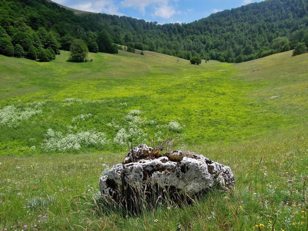 Terreno a Premia - Foto 4