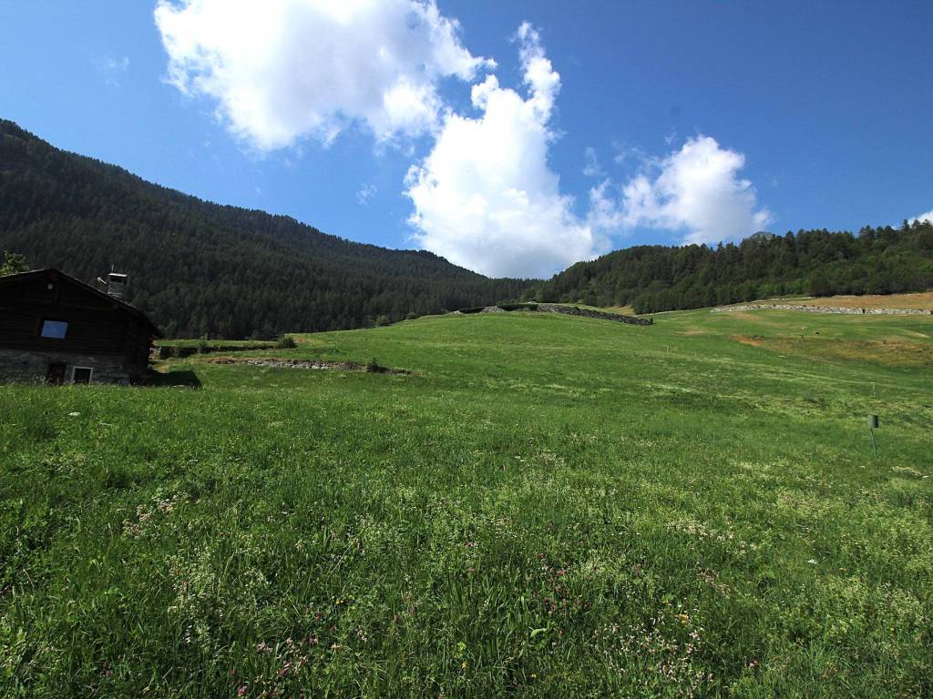 Terreno a Torgnon in Frazione Chesod, 41 - Foto 4