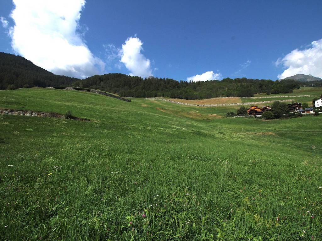 Terreno a Torgnon in Frazione Chesod, 41 - Foto 5