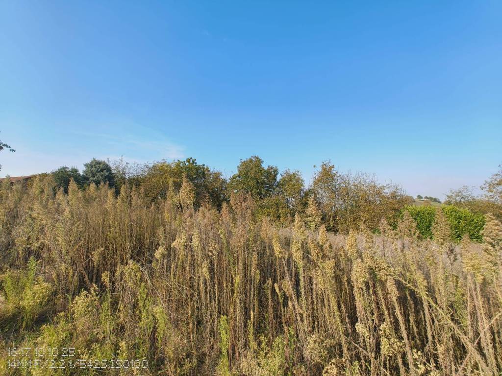 Terreno a Asti in Frazione Valle Tanaro, 214 - Foto 5