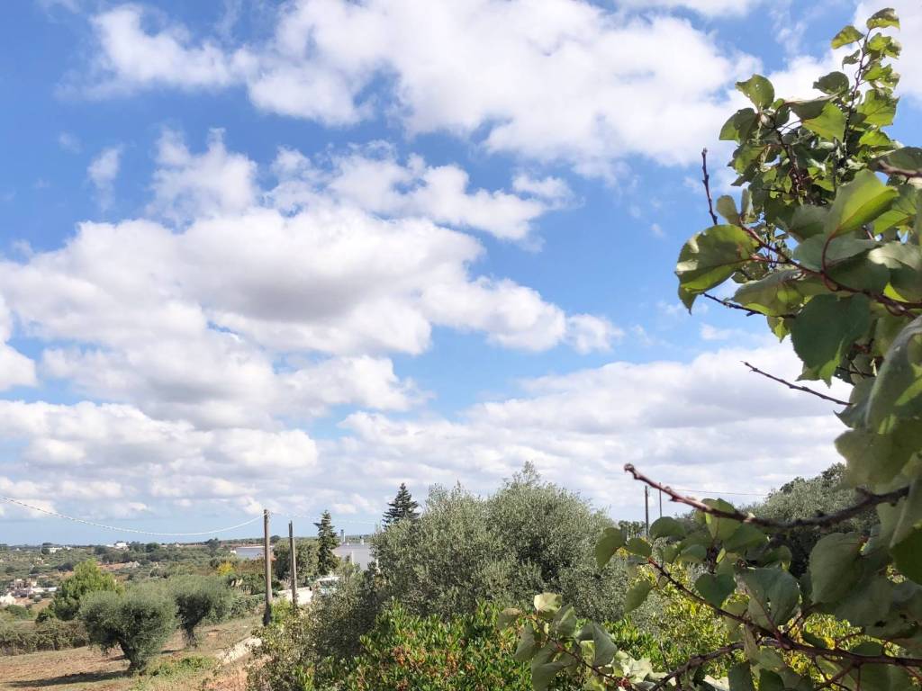 Villa a Alberobello in Contrada Marraffa - Foto 5
