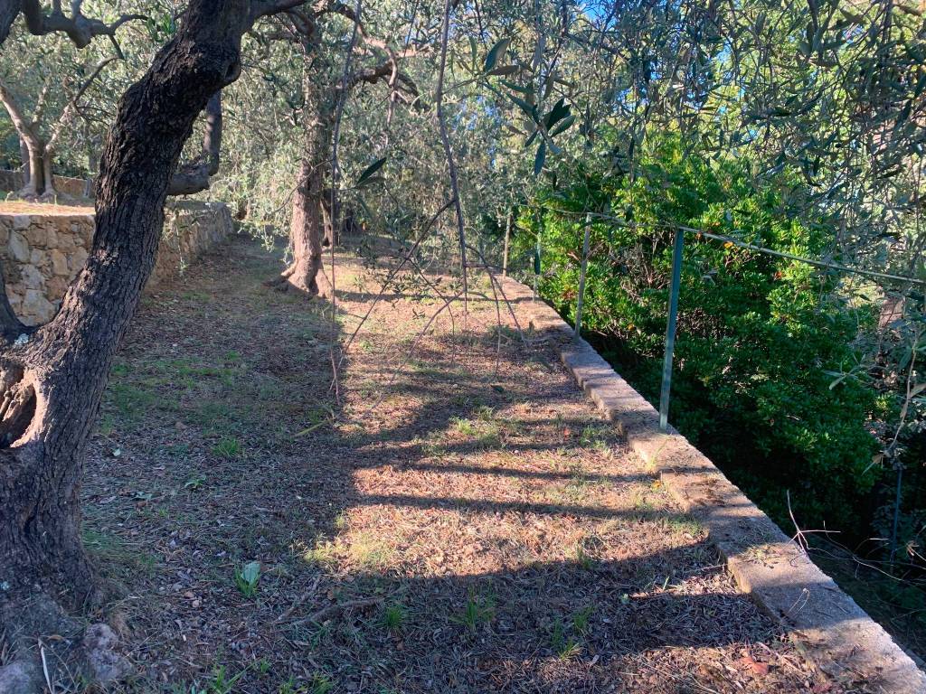 Terreno a Noli in Contrada Sacconi, 7 - Foto 5