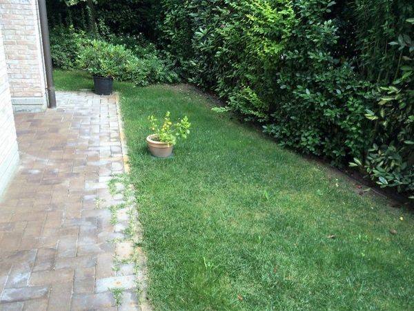 Appartamento a Reggio emilia - Foto 2