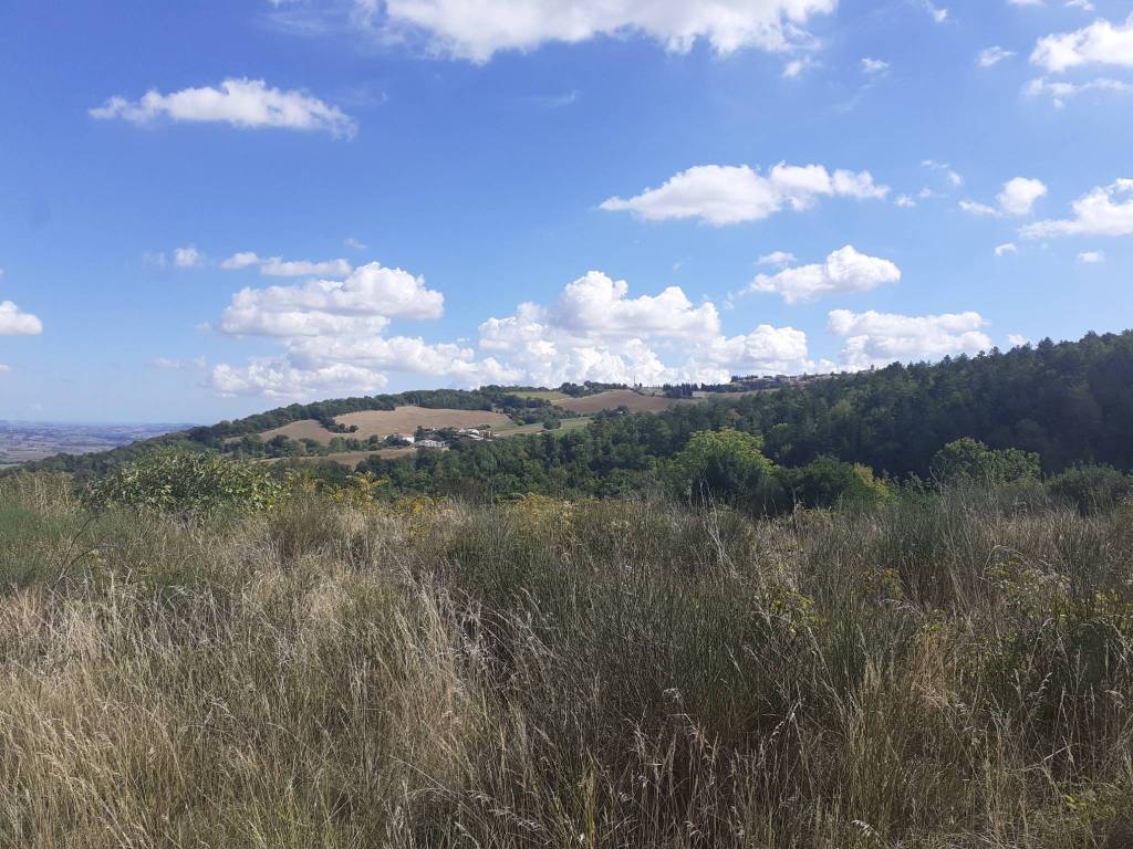 Rustico / casale a Cingoli - Foto 2