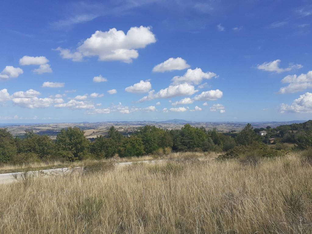 Rustico / casale a Cingoli - Foto 3