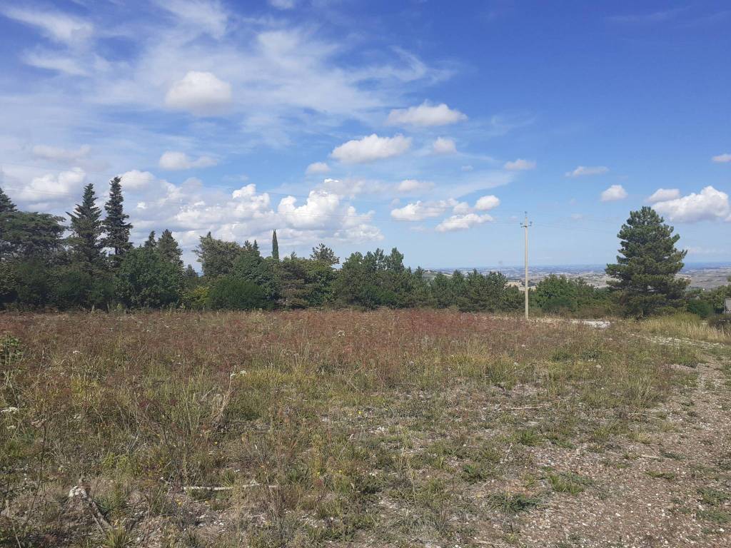 Rustico / casale a Cingoli - Foto 5