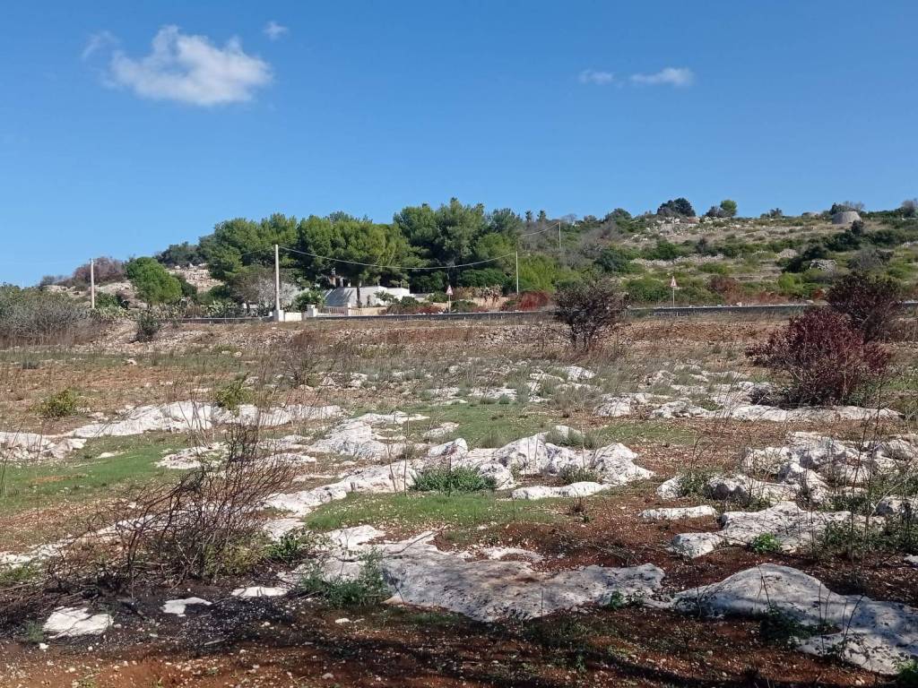Terreno a Castrignano del capo in Strada Statale Lecce Maglie - Foto 2