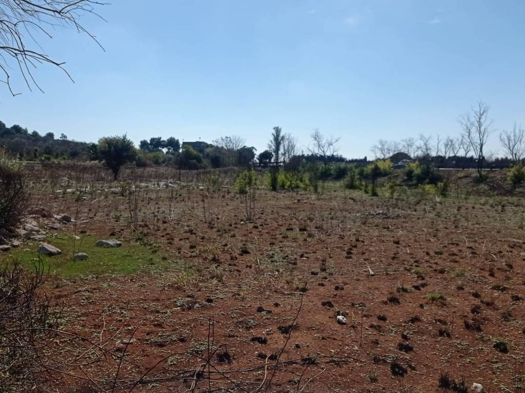 Terreno a Castrignano del capo in Strada Statale Lecce Maglie - Foto 3