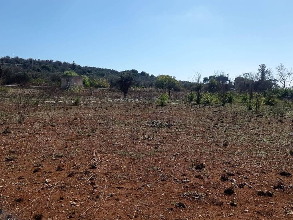 Terreno a Castrignano del capo in Strada Statale Lecce Maglie - Foto 4