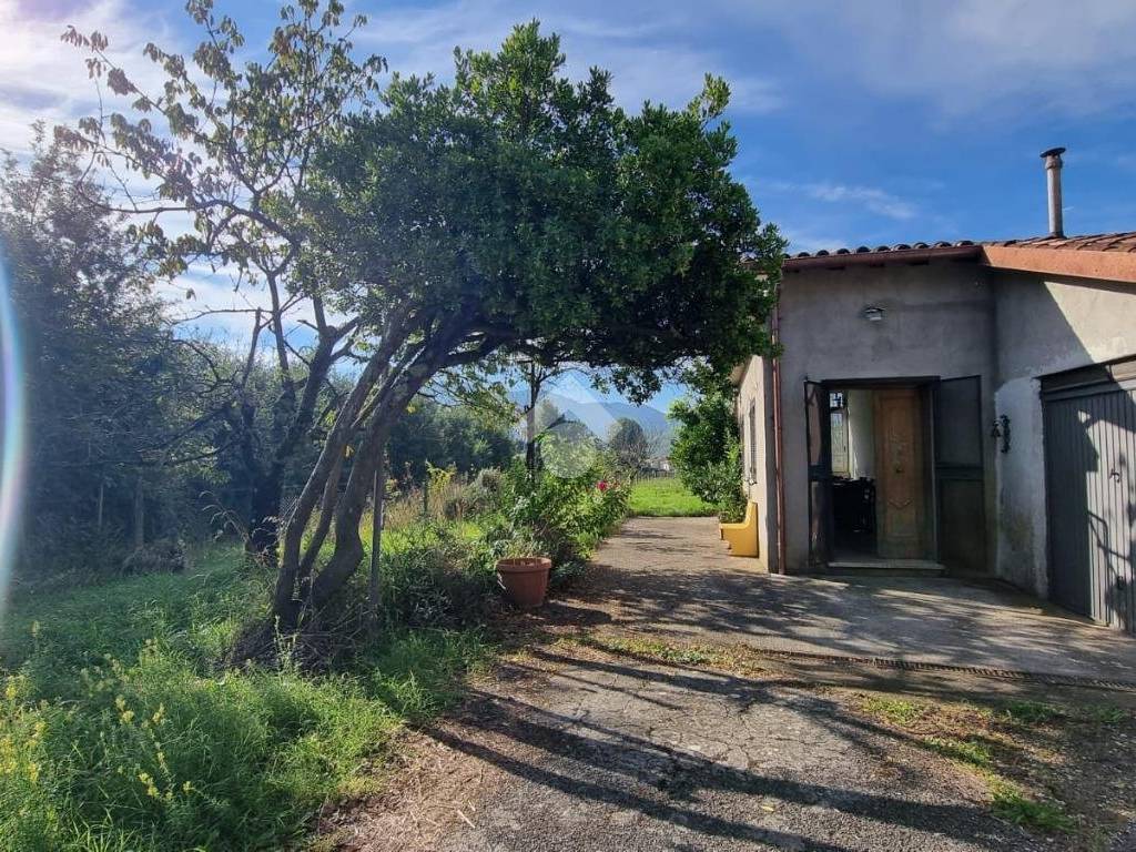 Casa indipendente a Segni in Via Carinella, 8 - Foto 3