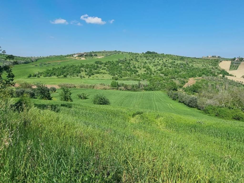 Terreno a Castel di lama in Contrada Colle Cese - Foto 3