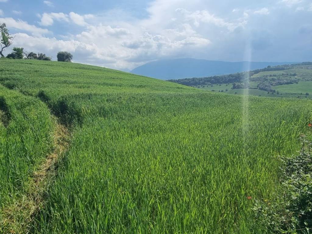 Terreno a Castel di lama in Contrada Colle Cese - Foto 4