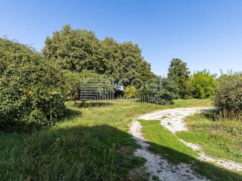 Rustico / casale a Solarolo - Foto 3