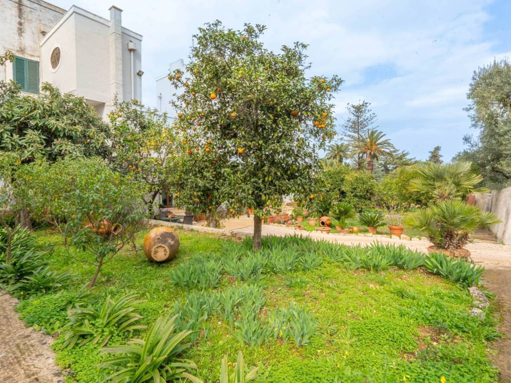 Rustico / casale a Ostuni in Contrada Rialbo di Sotto - Foto 5