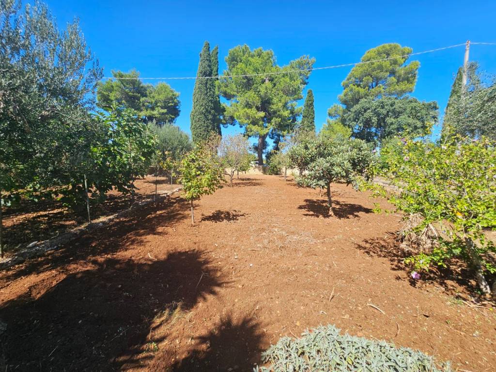 Villa a Polignano a mare in Via Case Sparse - Foto 4