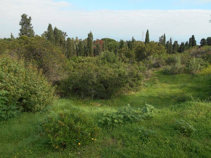 Terreno a Capoterra in Vicolo 1 - Foto 2