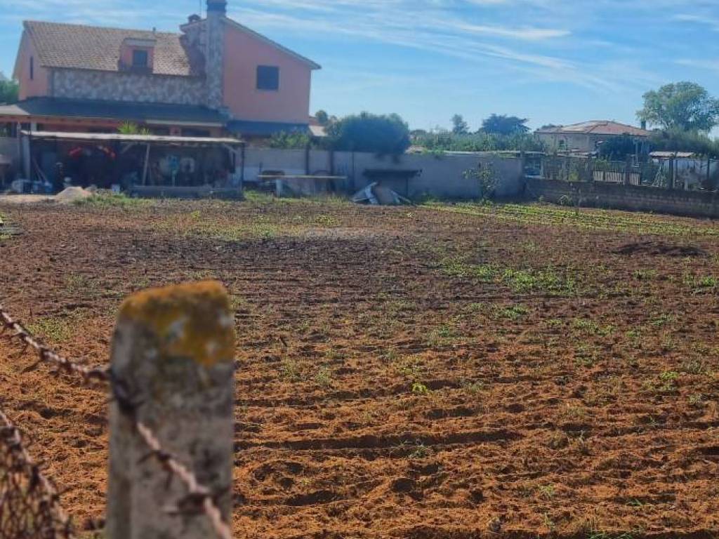 Terreno a Nettuno in Via Castel Gandolfo - Foto 2