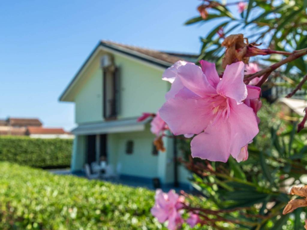 Villa a Sissa trecasali in Via Grande, 2 - Foto 2