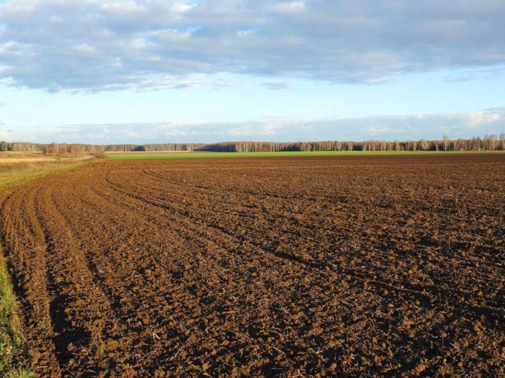 Terreno a Arcugnano in Via Palladio, 10 - Foto 2