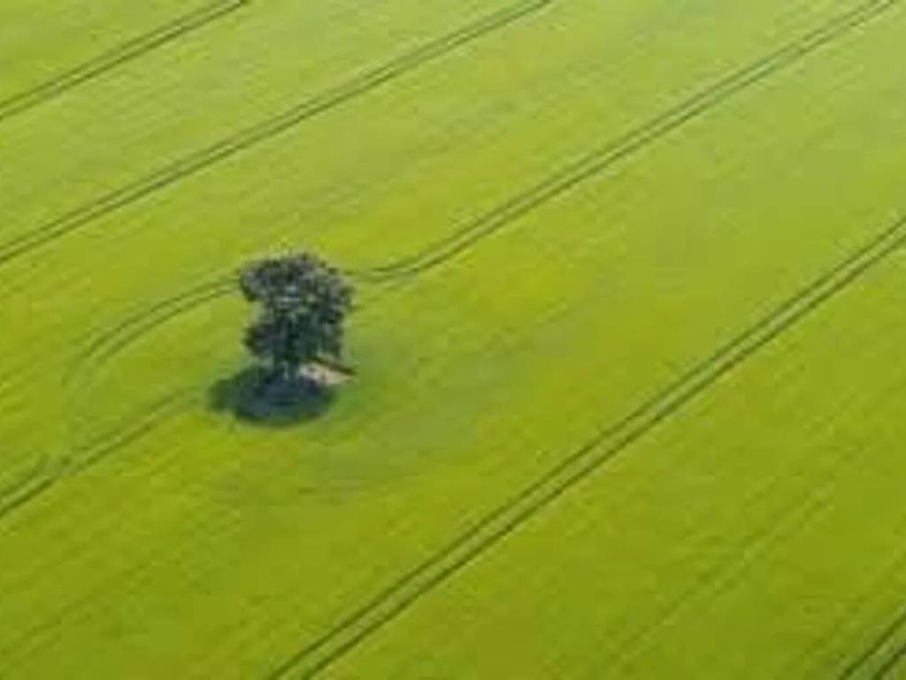 Terreno a Arcugnano in Via Palladio, 10 - Foto 5