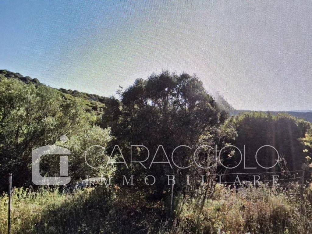 Terreno a Calangianus - Foto 2
