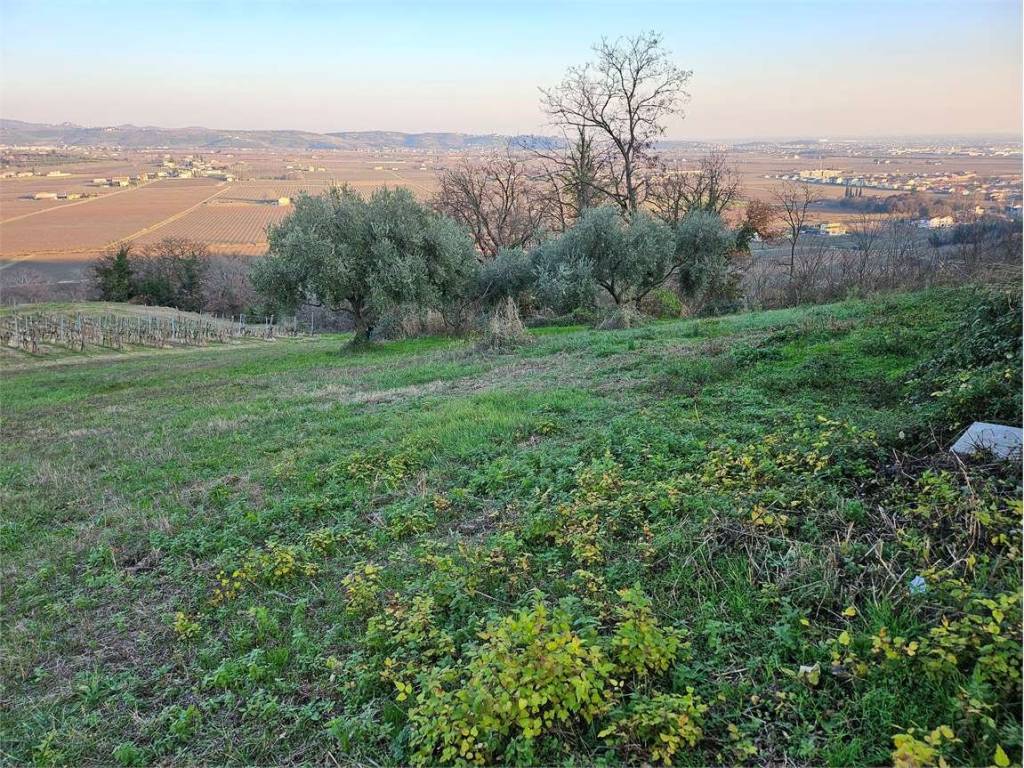 Terreno a Lavagno in CAVALLINE, 00 - Foto 4