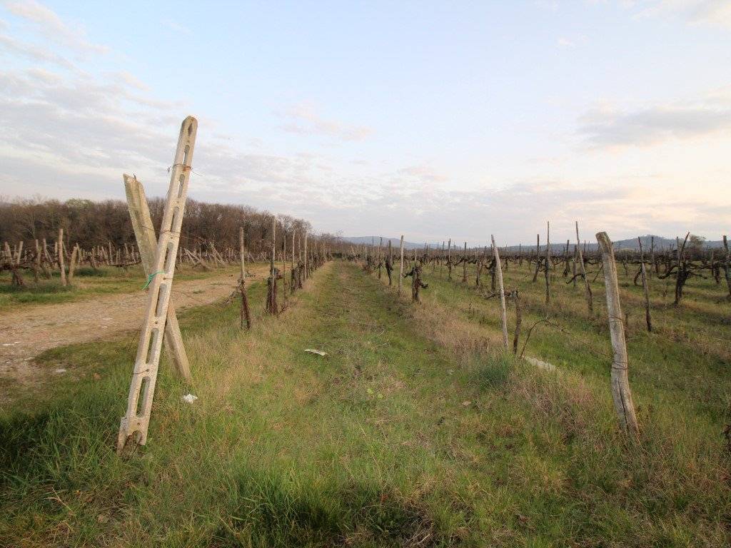 Terreno a Bucine in bucine - Foto 5