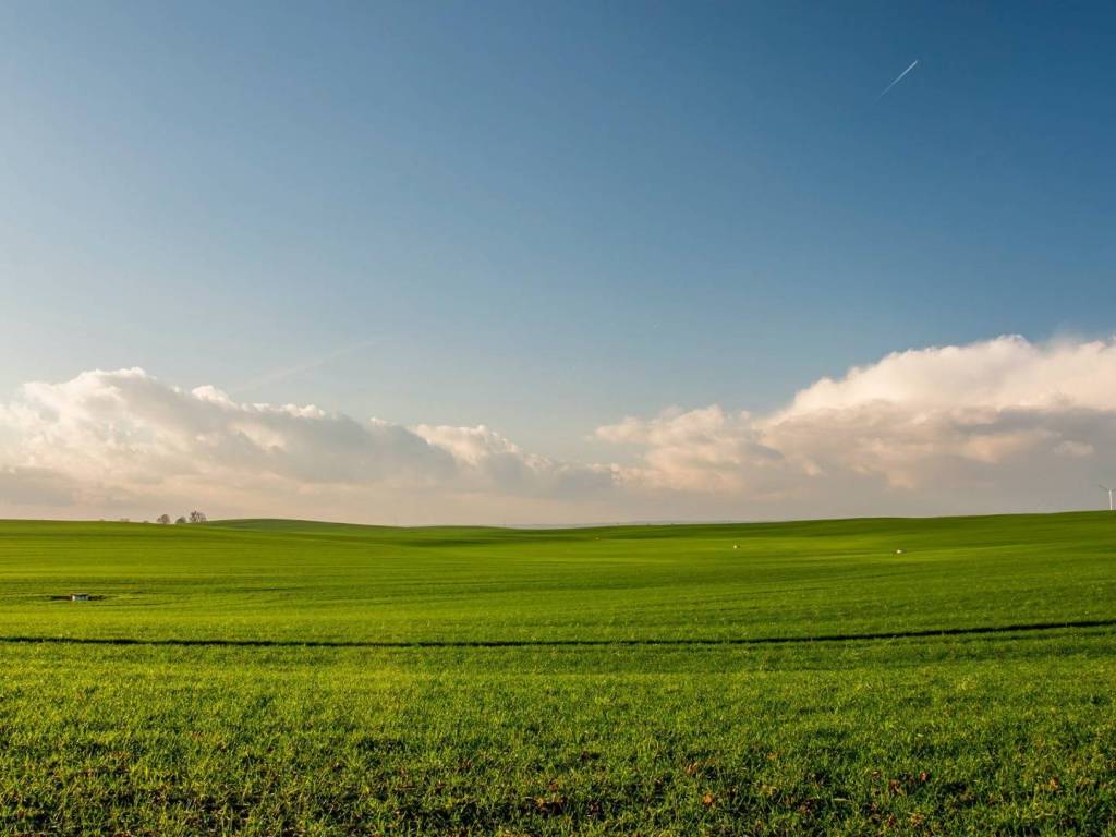 Terreno a Sommariva perno in Località Maunera - Foto 5