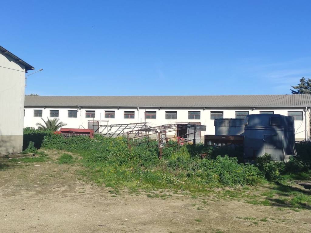 Terreno a Naro in spc 58 - Foto 4