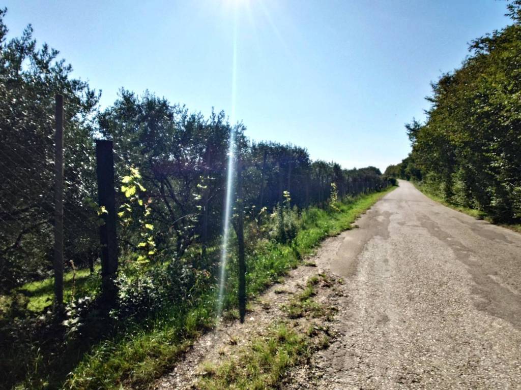 Terreno a Verona in Via Are Zovo - Foto 3