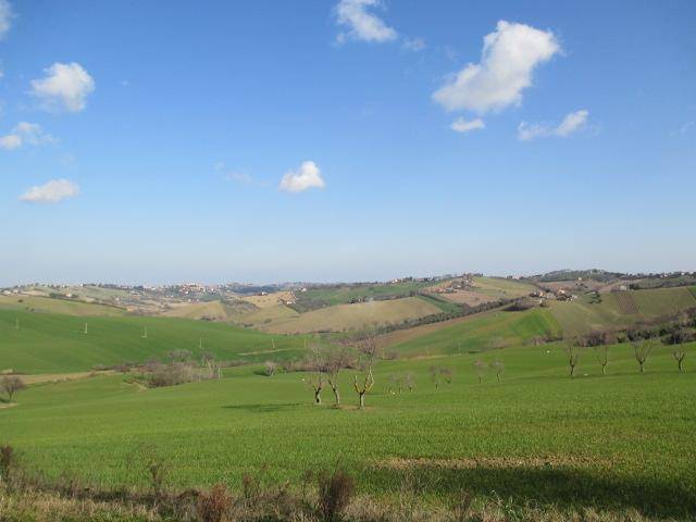 Rustico / casale a Belvedere ostrense - Foto 2