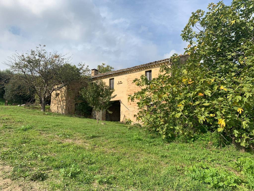 Rustico / casale a Monte vidon combatte in Via San Procolo - Foto 2