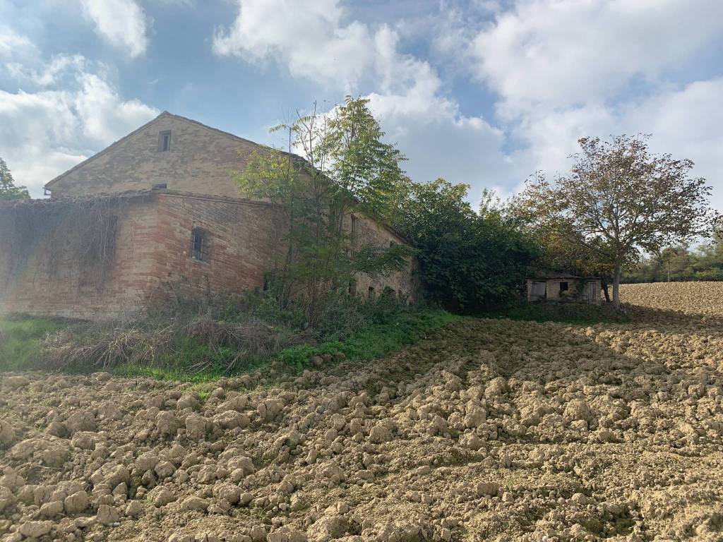 Rustico / casale a Monte vidon combatte in Via San Procolo - Foto 3