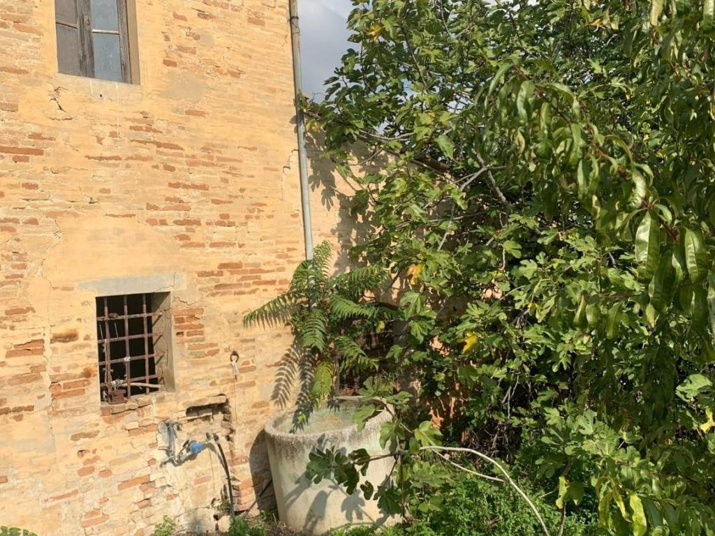 Rustico / casale a Monte vidon combatte in Via San Procolo - Foto 5