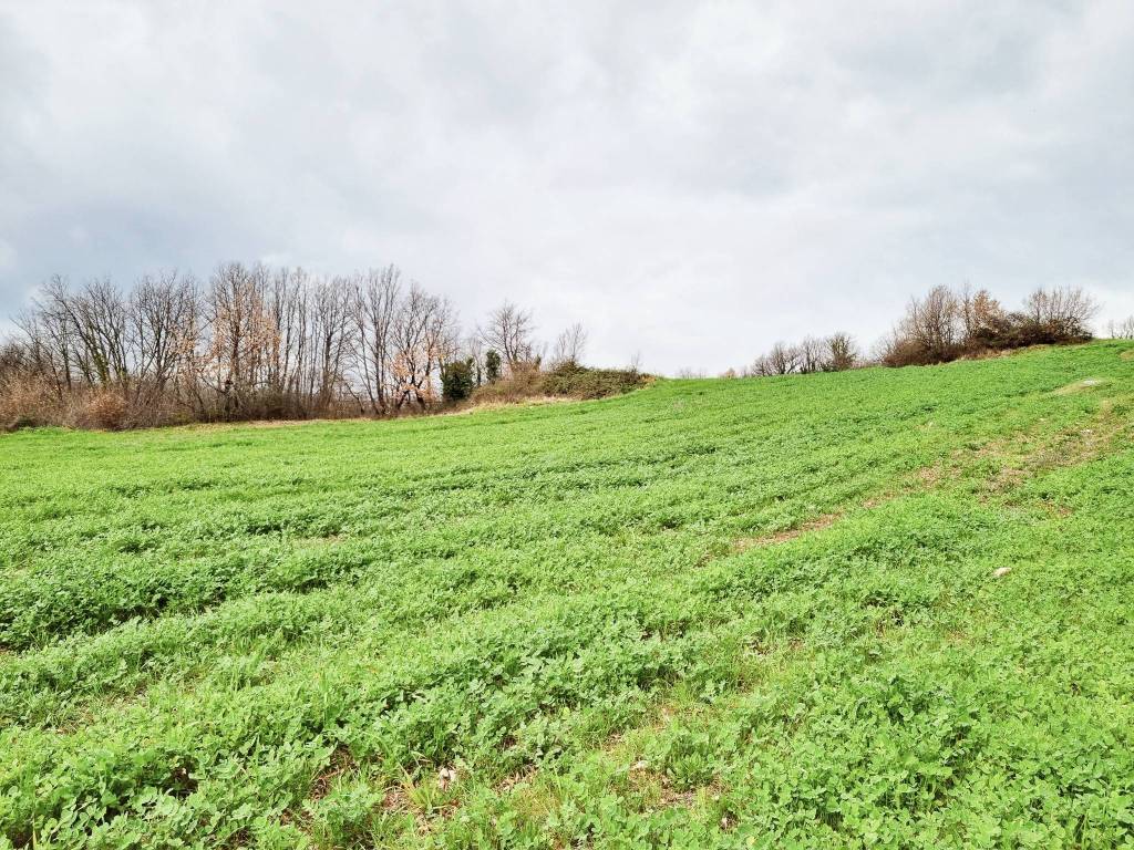 Terreno a Montemiletto in Contrada Cerreto - Foto 2
