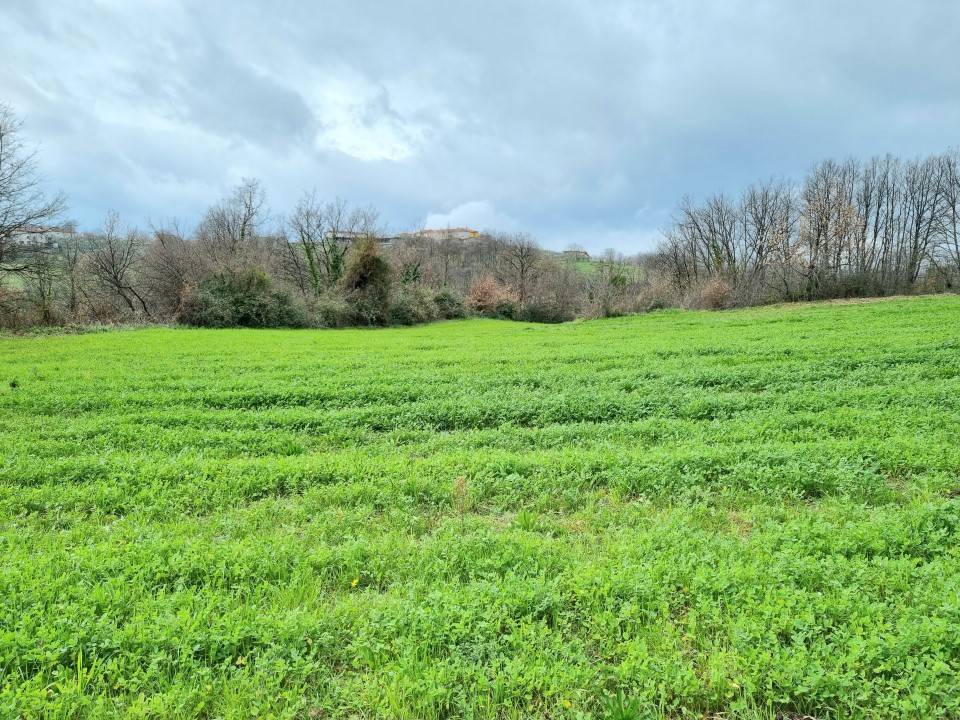 Terreno a Montemiletto in Contrada Cerreto - Foto 3