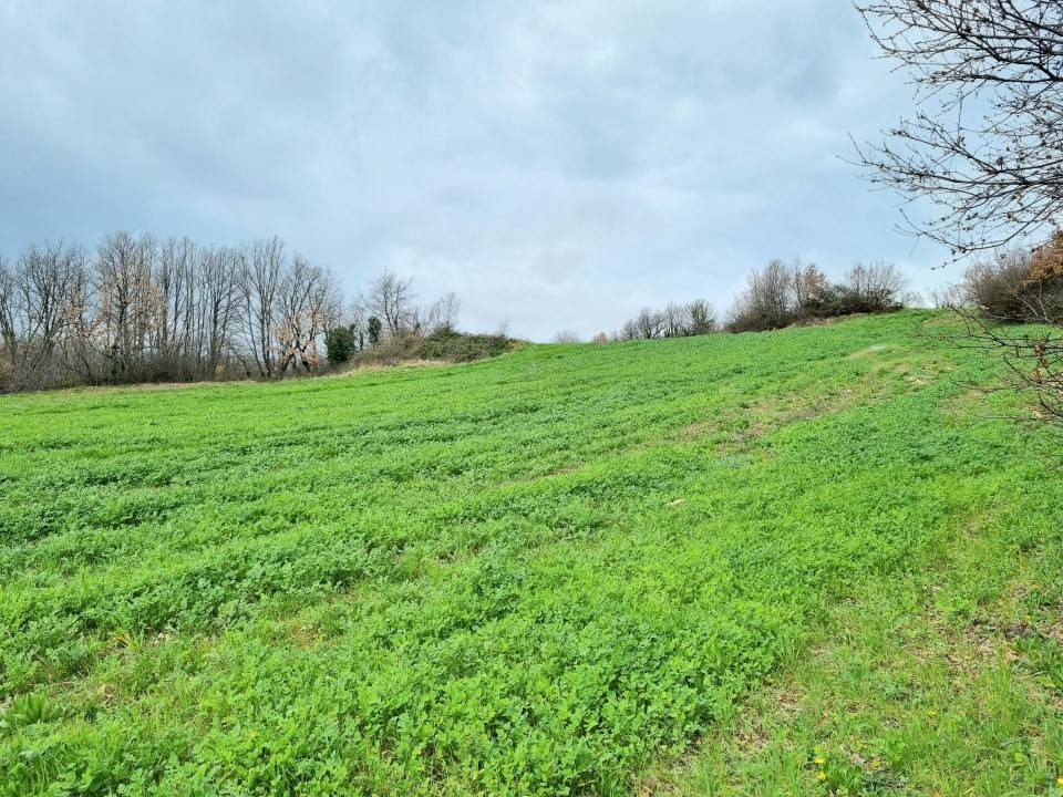 Terreno a Montemiletto in Contrada Cerreto - Foto 5