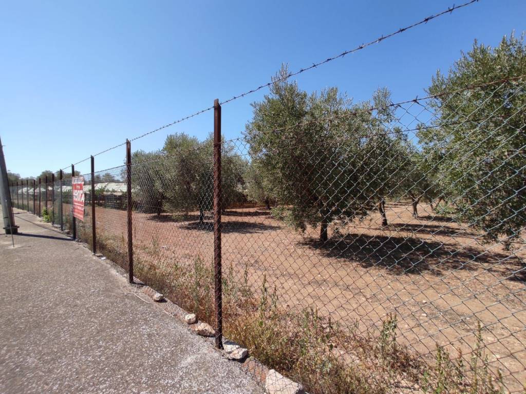 Terreno a Grottaglie - Foto 2