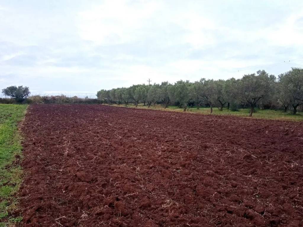 Terreno a Pizzo in Zona Industriale Maierato S.N.C. - Foto 2
