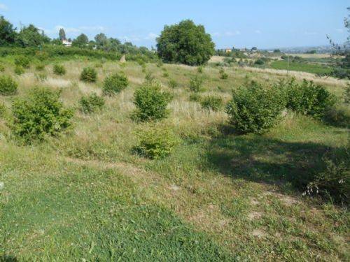 Terreno a Verucchio - Foto 4