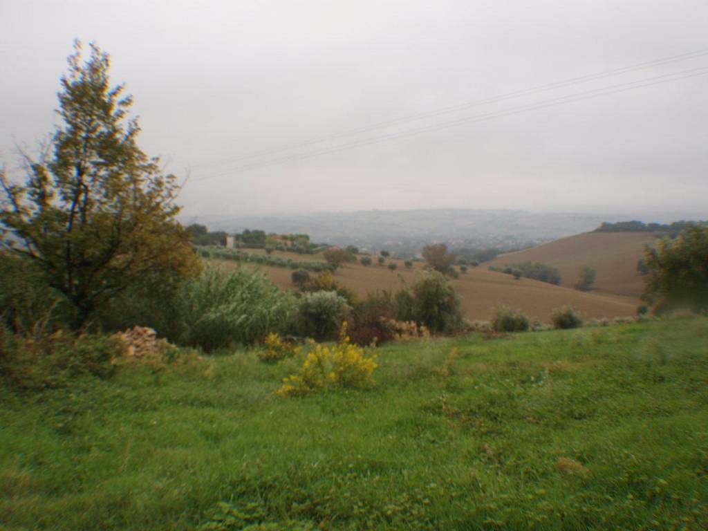 Rustico / casale a Trecastelli - Foto 3