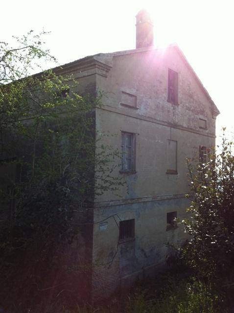 Rustico / casale a Trecastelli - Foto 5