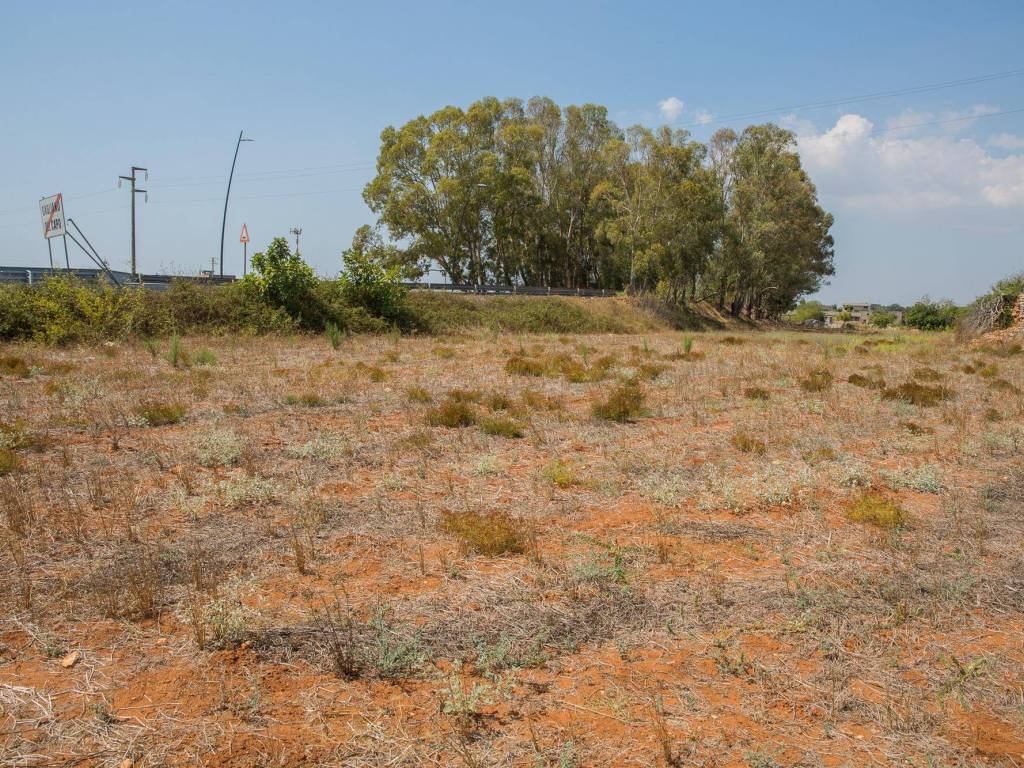 Rustico / casale a Gagliano del capo in Via Fiume - Foto 3