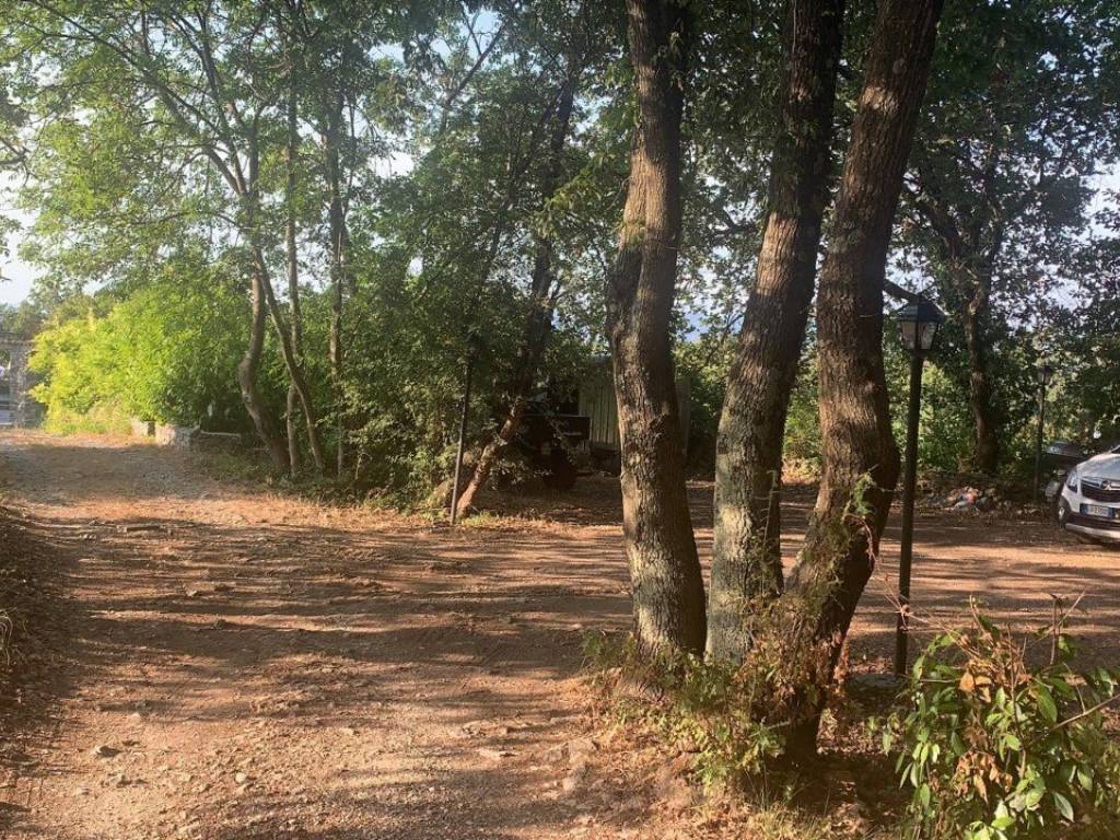 Rustico / casale a Lerici in Località Monti San Lorenzo - Foto 2