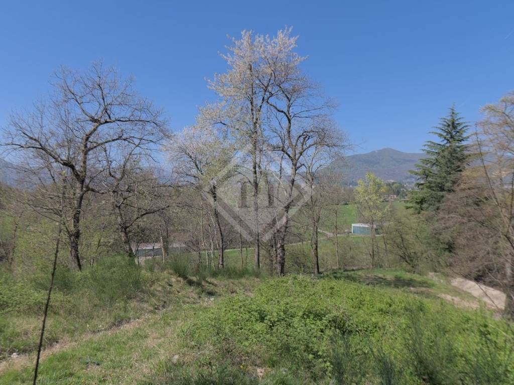Terreno a Cantello - Foto 2
