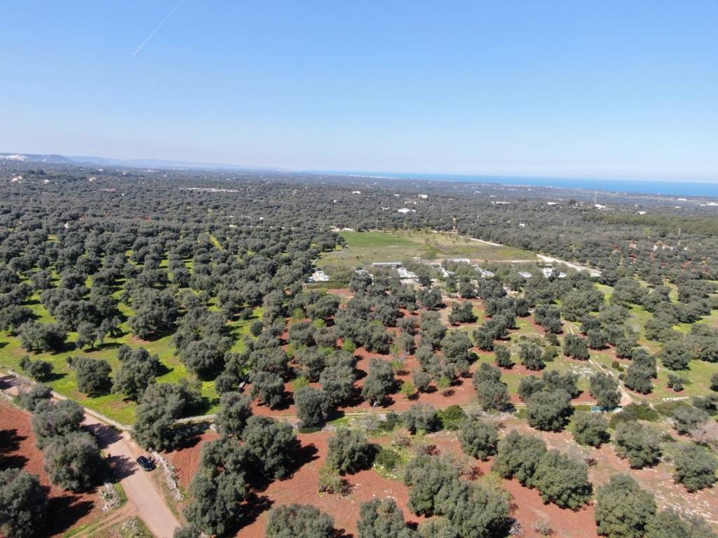 Terreno a Carovigno in Contrada Acciano - Foto 5