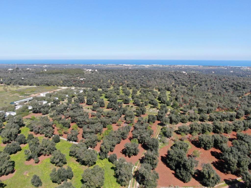 Terreno a Carovigno in SP34 - Foto 4